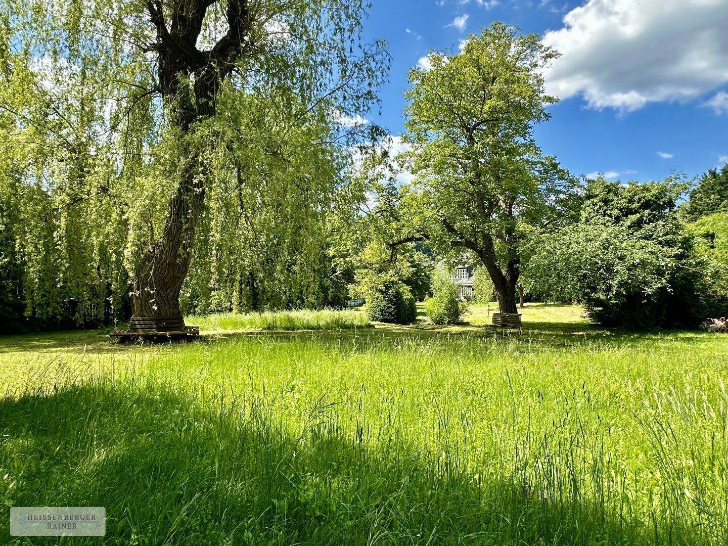 Große, sonnige Rasenfläche mit alten Bäumen und üppigem Grün unter blauem Himmel.