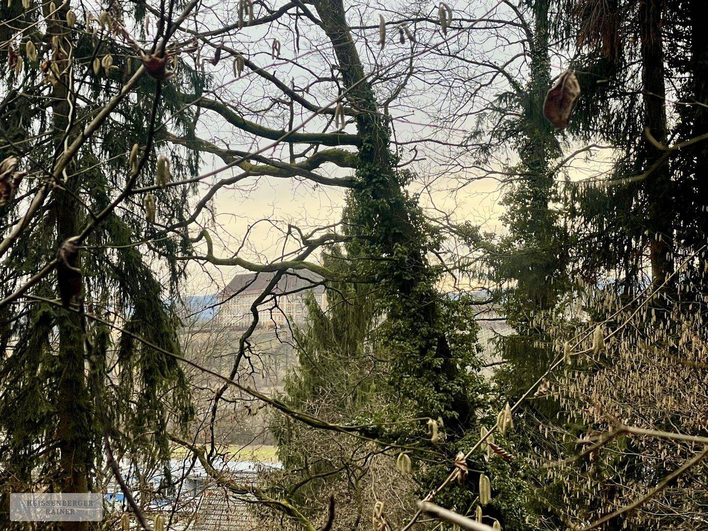 Blick durch die Bäume auf ein entferntes Gebäude auf einem Hügel in der Landschaft.