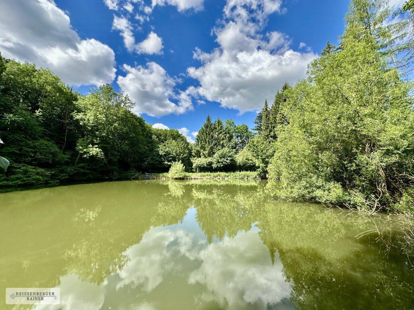 Idyllischer Teich umgeben von üppiger grüner Vegetation unter einem strahlend blauen Himmel.