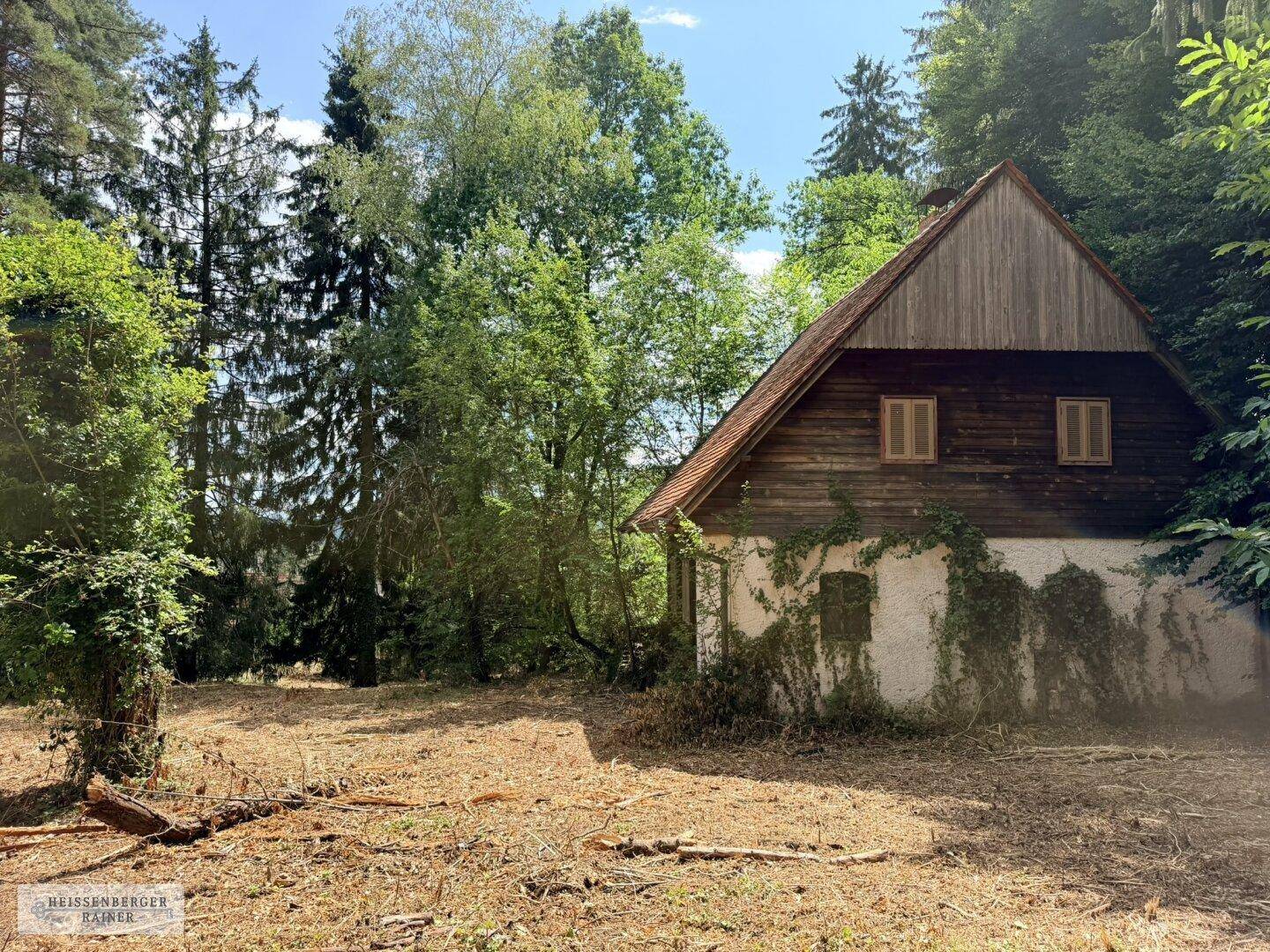 Historisches Haus mit Holzelementen und Efeubewuchs, umgeben von Bäumen und einer gerodeten Fläche.