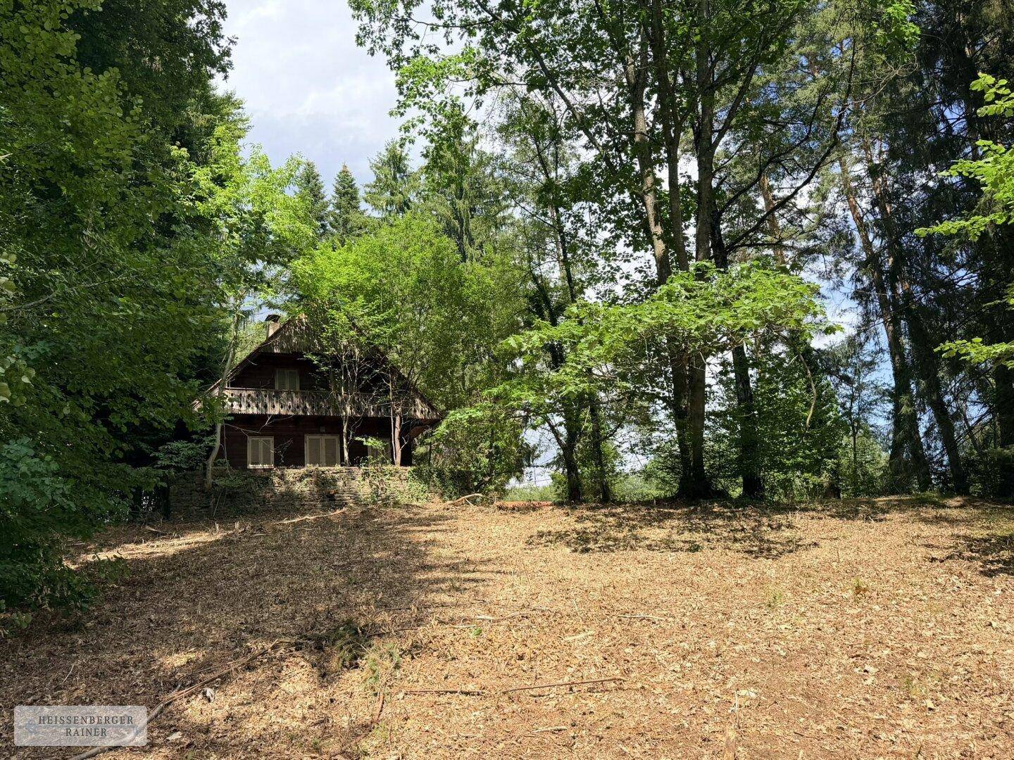 Altes Holzhaus, umgeben von Bäumen, mit einem unaufgeräumten, bewachsenen Vordergrund.