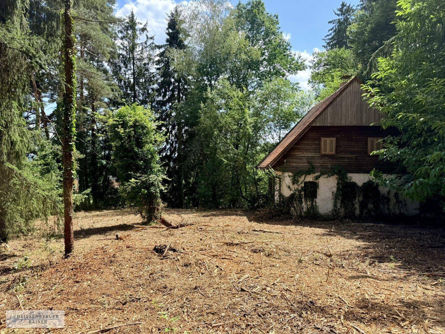 Altes Holzhaus mit weißem Sockel, teilweise mit Efeu bewachsen, umgeben von einem gerodeten Grundstück.