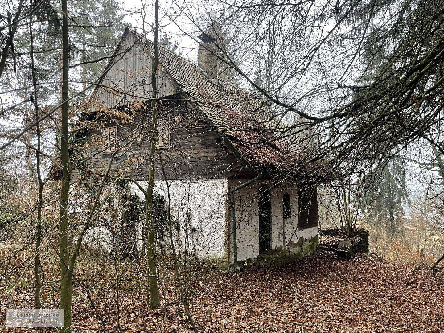 Verfallenes Holzhaus mit weißem Sockel, Schornstein und beschädigtem Dach, umgeben von kahlen Bäumen im Winter.