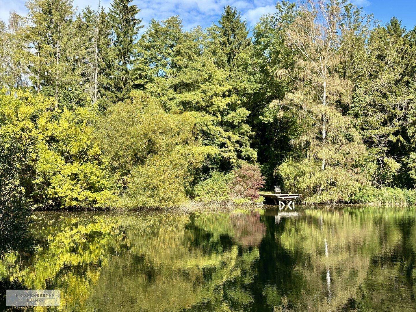 Malerischer Teich umgeben von dichtem Wald, der sich im klaren Wasser spiegelt.