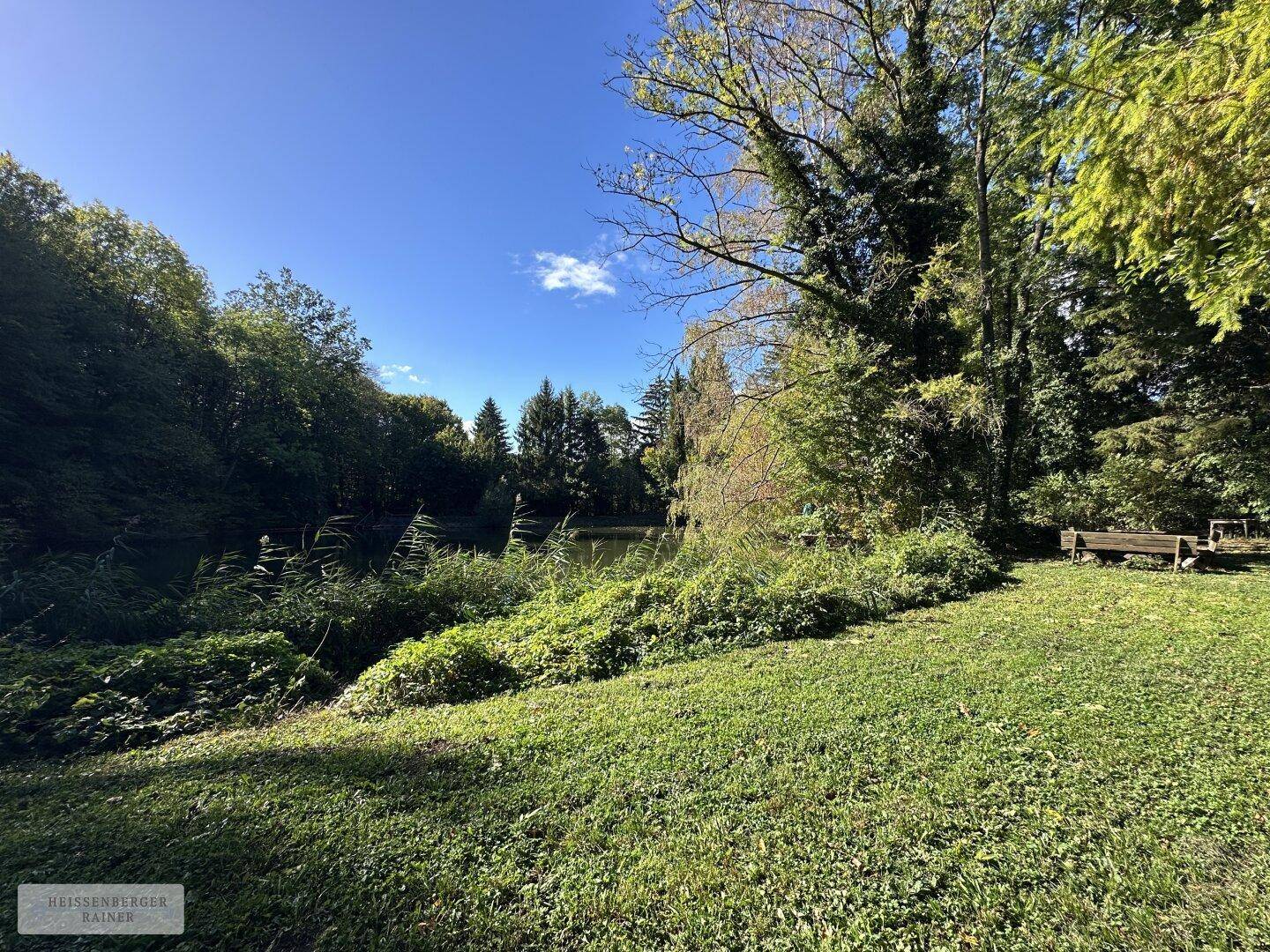 Sonniger Gartenbereich mit üppigem Grün und Blick auf den ruhigen Teich im Hintergrund.