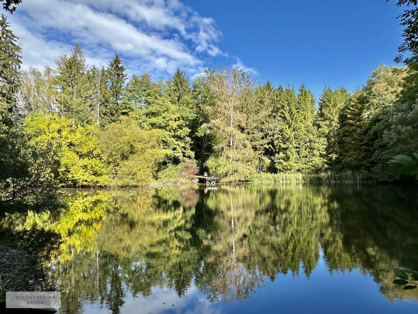 Ruhiger Teich mit spiegelnder Wasseroberfläche, umgeben von einem dichten Wald unter blauem Himmel.