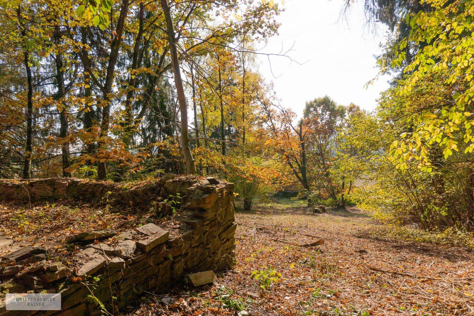 Alte Steinmauern einer Ruine in einer Waldlichtung, umgeben von herbstlichen Bäumen und Laub.