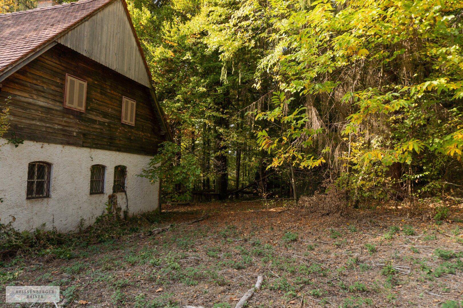 Seitenansicht des Landhauses mit Holzfassade und weißem Sockel, umgeben von einer gerodeten Fläche.