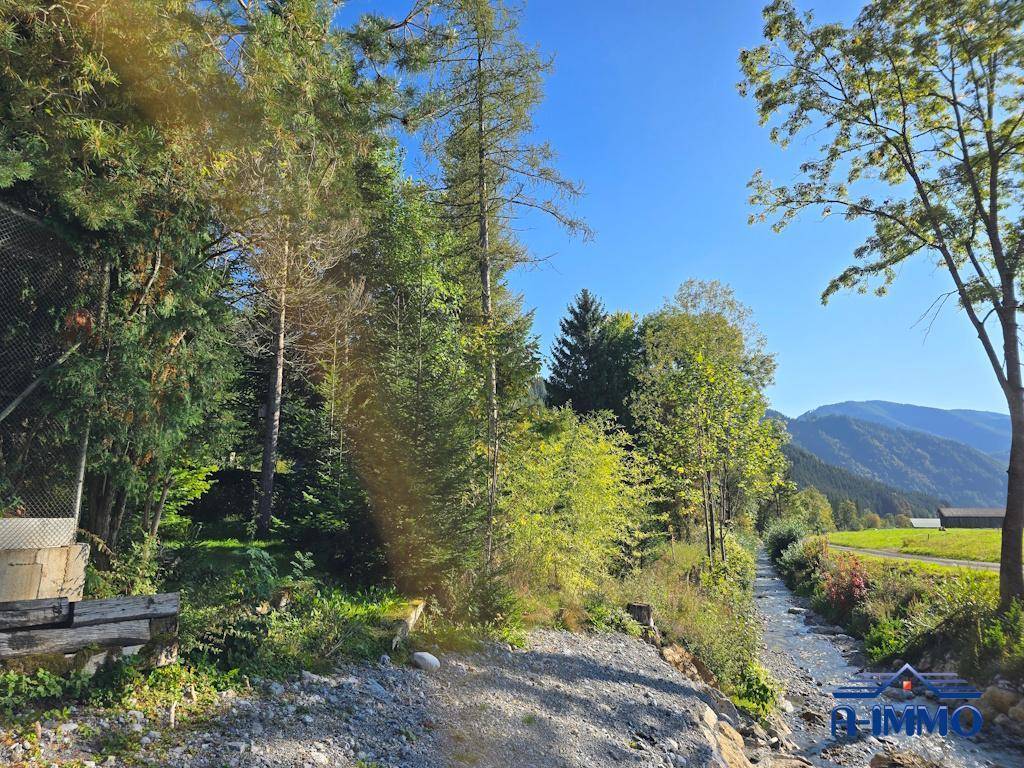 Malerischer Bachlauf neben einem Waldgebiet mit Bergen im Hintergrund.