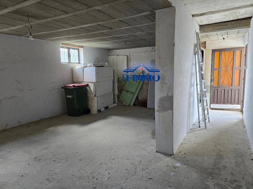 Geräumiger Kellerraum mit Betonboden, kleinen Fenstern und einer Leiter.