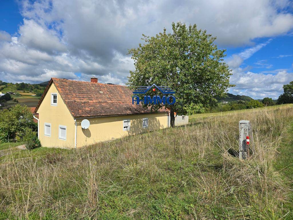 Renovierungsbedürftiges Bauernhaus mit circa 11000m² Grund. ERHÖHTE SONNIGE AUSSICHTSLAGE! ALLEINLAGE! - Widok 5