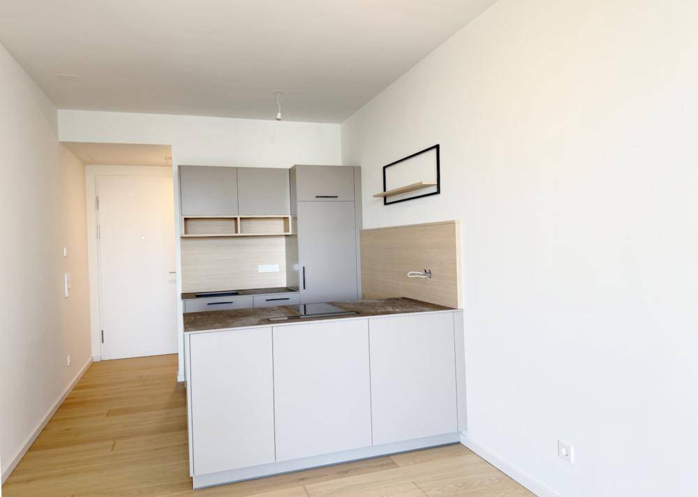 Moderne Küche in hellem Grau mit Kochinsel und integrierten Geräten, offen zum Wohnbereich.