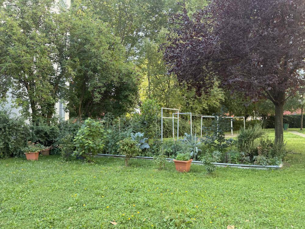 Kleiner Küchengarten mit verschiedenen Pflanzen und Gemüsebeeten, ideal für den Eigenanbau.