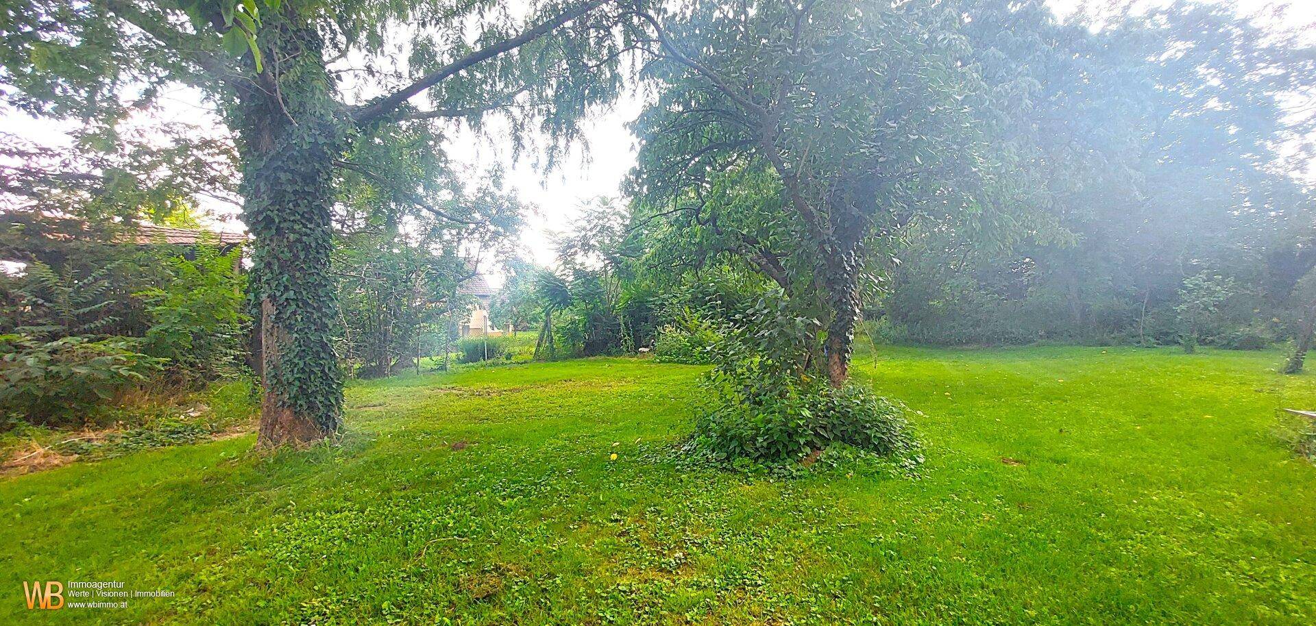 Grüner Gartenbereich mit altem Baumbestand und üppiger Vegetation, ideal für Erholung.