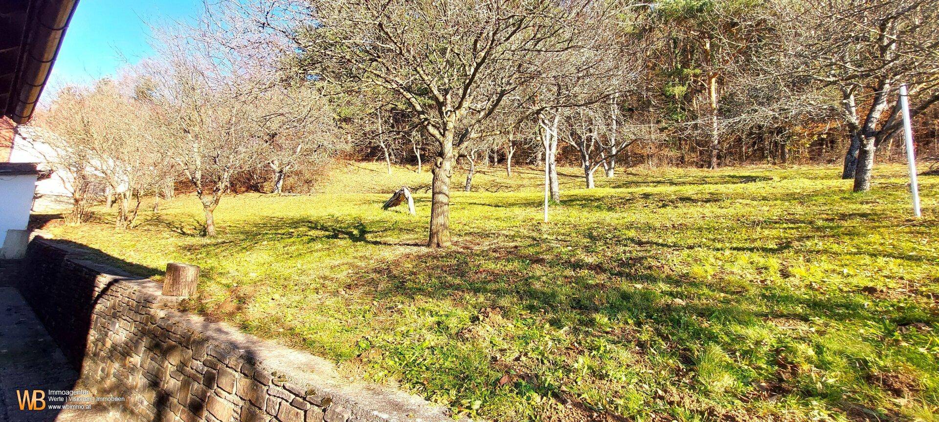 Großer Gartenbereich mit Rasenfläche und alten Obstbäumen, ideal für Entspannung im Freien.