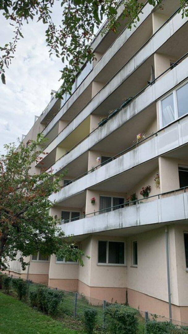 Nahaufnahme der Balkone eines Mehrfamilienhauses mit Pflanzen und Blick auf die Fassade.