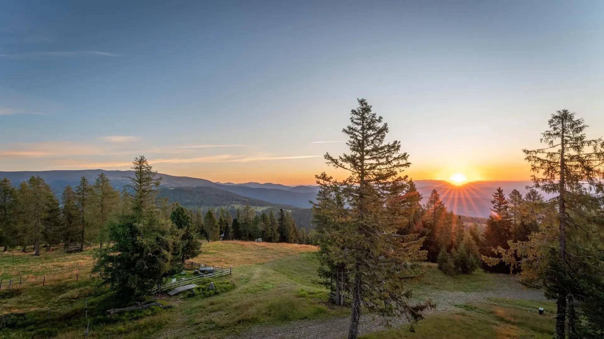 Malerischer Sonnenuntergang über einer bewaldeten Berglandschaft mit grünen Wiesen und hohen Bäumen.