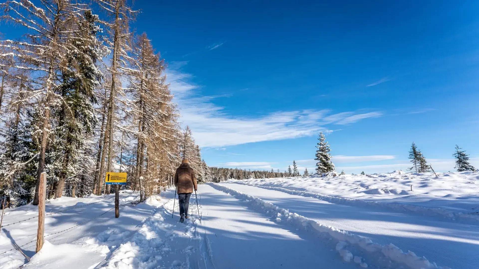 Eine Person wandert auf einem verschneiten Weg durch einen Winterwald unter einem klaren, blauen Himmel.
