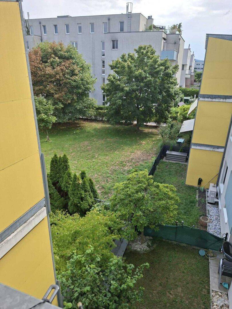 Blick auf einen gepflegten Gemeinschaftsgarten mit Rasenflächen und Bäumen zwischen den Gebäuden.