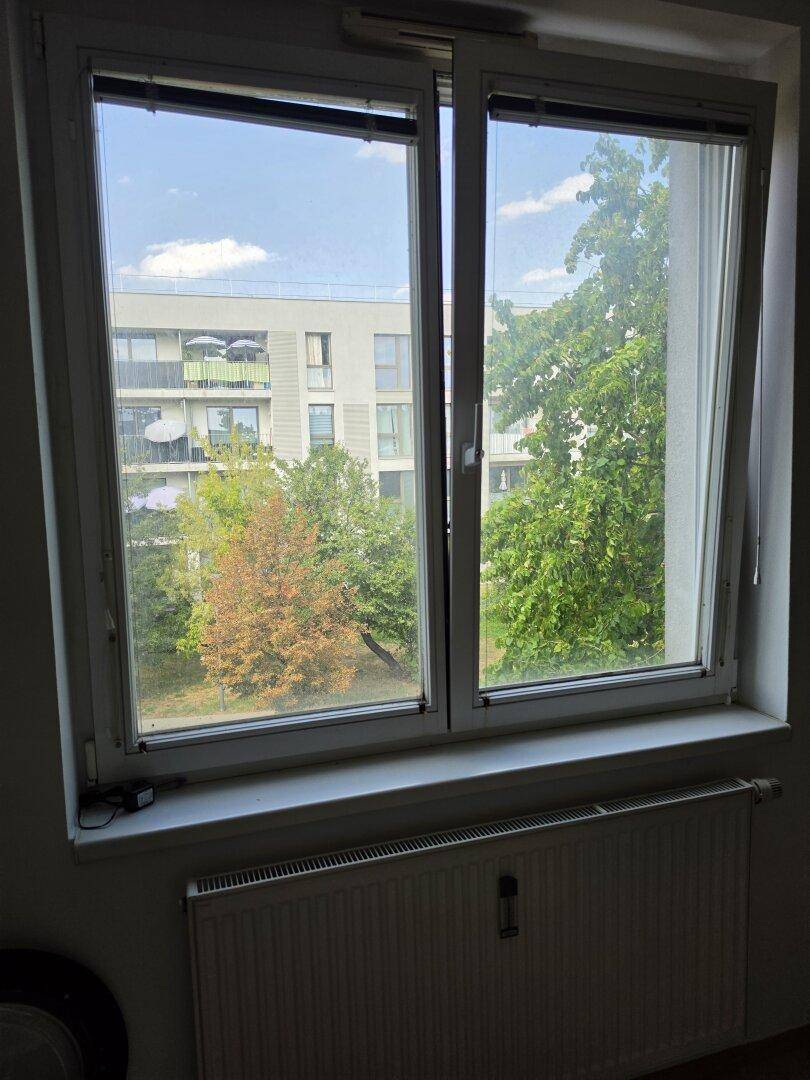 Innenraum mit Fensterblick auf Bäume und ein gegenüberliegendes Gebäude, Heizkörper darunter.