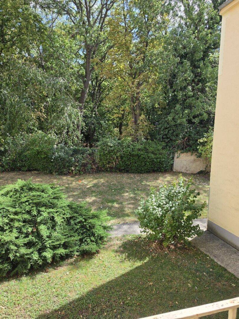 Teil des Gartens mit Rasenfläche und Sträuchern, gesehen von einem erhöhten Punkt.