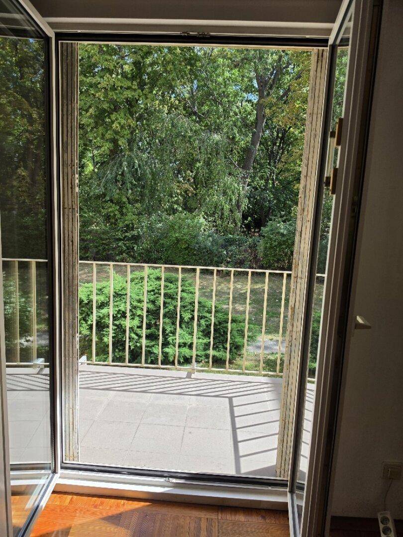 Blick vom Balkon in einen üppigen grünen Garten mit dichtem Baumbestand.