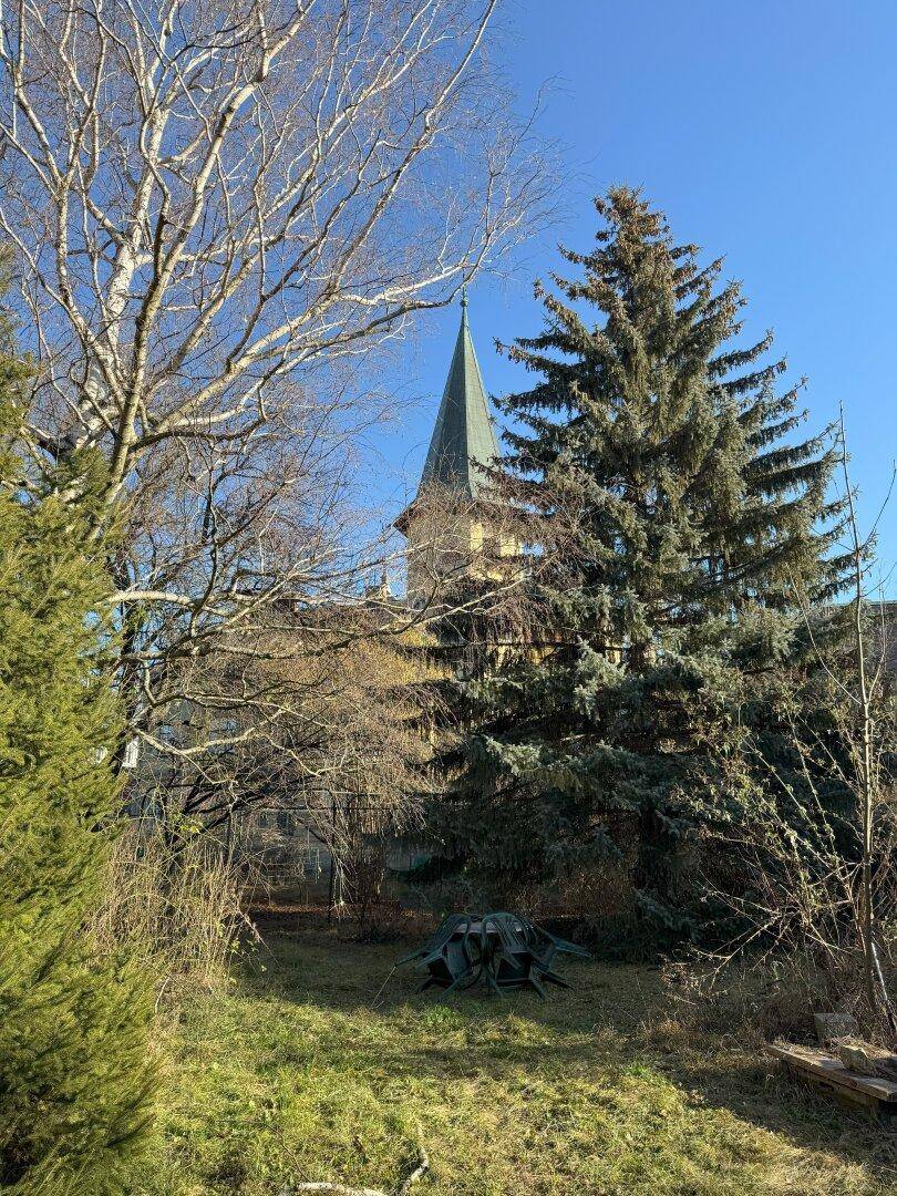 Gartenlandschaft im Winter mit kahlen Bäumen und Blick auf einen historischen Turm unter blauem Himmel.
