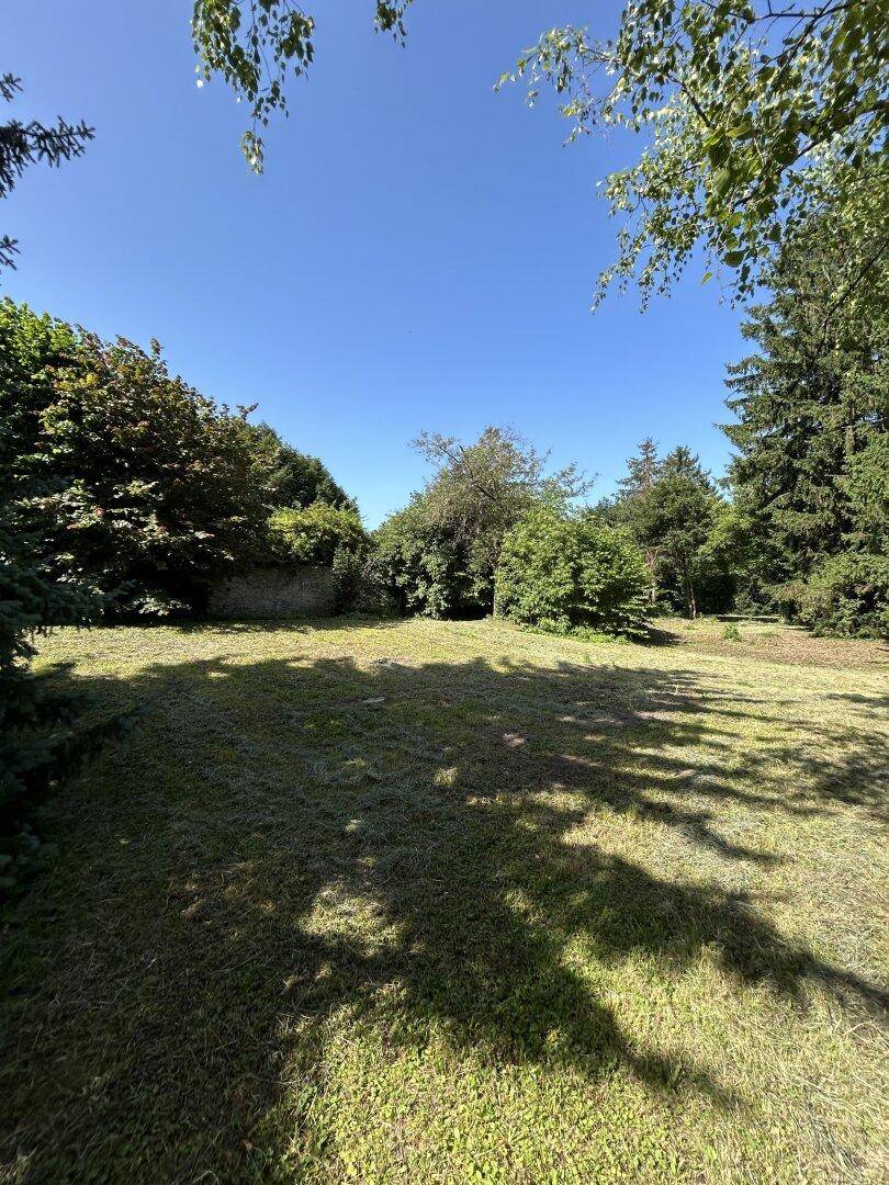 Weitläufige Rasenfläche in einem großen Garten, umgeben von Bäumen und Sträuchern unter blauem Himmel.