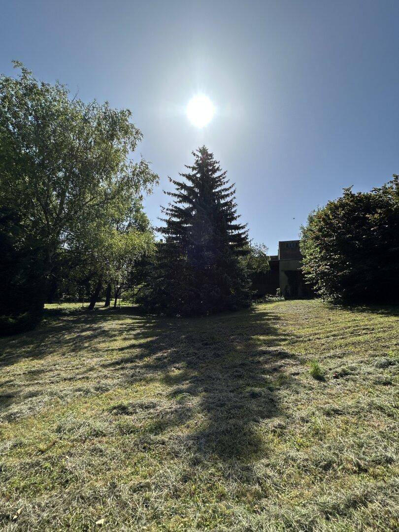 Weitläufiger Gartenbereich mit hohen Bäumen und Blick auf ein Gebäude unter strahlendem Sonnenschein.
