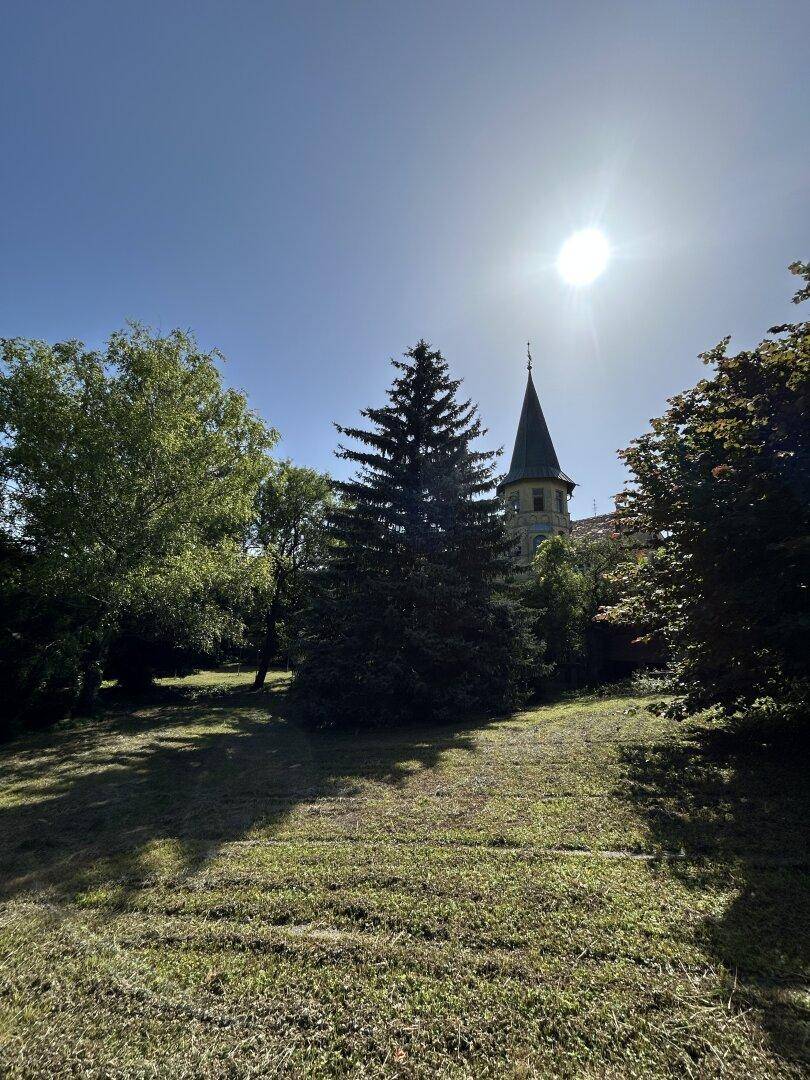 Sonniger Garten mit altem Baumbestand und Blick auf einen historischen Turm mit spitzem Dach.