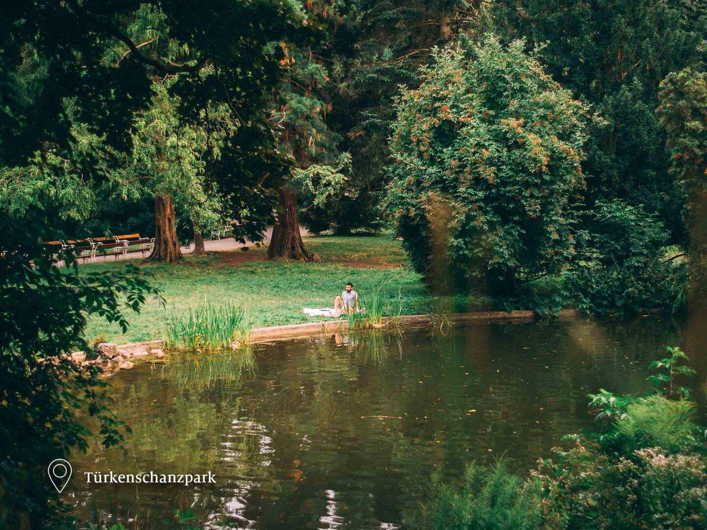 Idyllischer Teich im Türkenschanzpark, umgeben von Bäumen und Grünflächen.