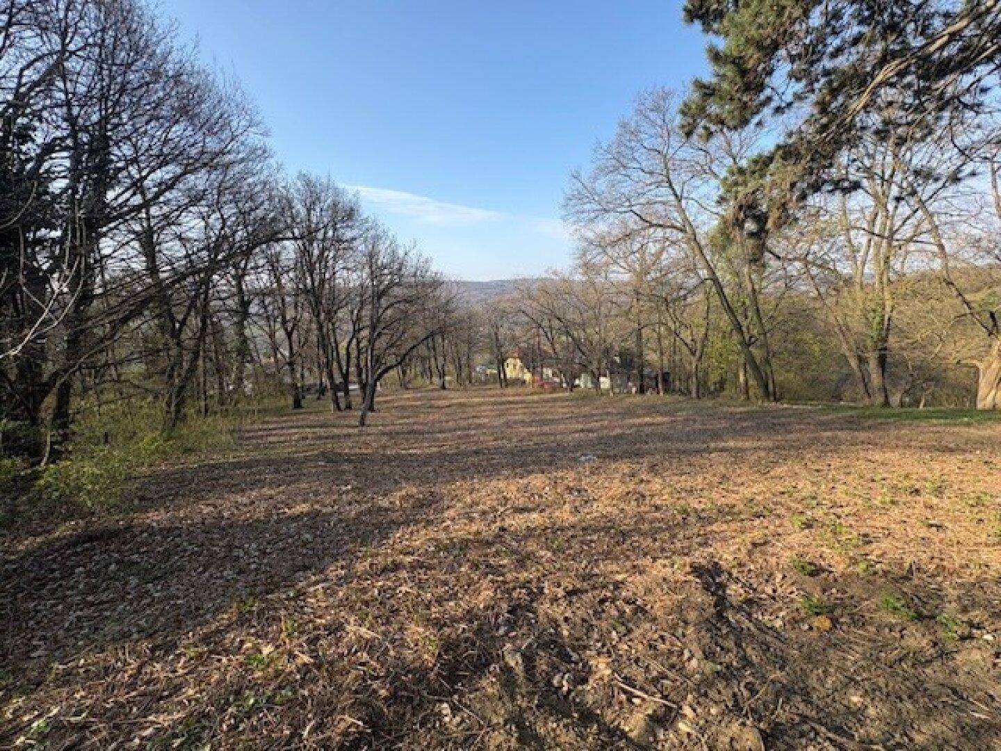 Offenes Gelände mit altem Baumbestand und weitem Blick in die Natur.