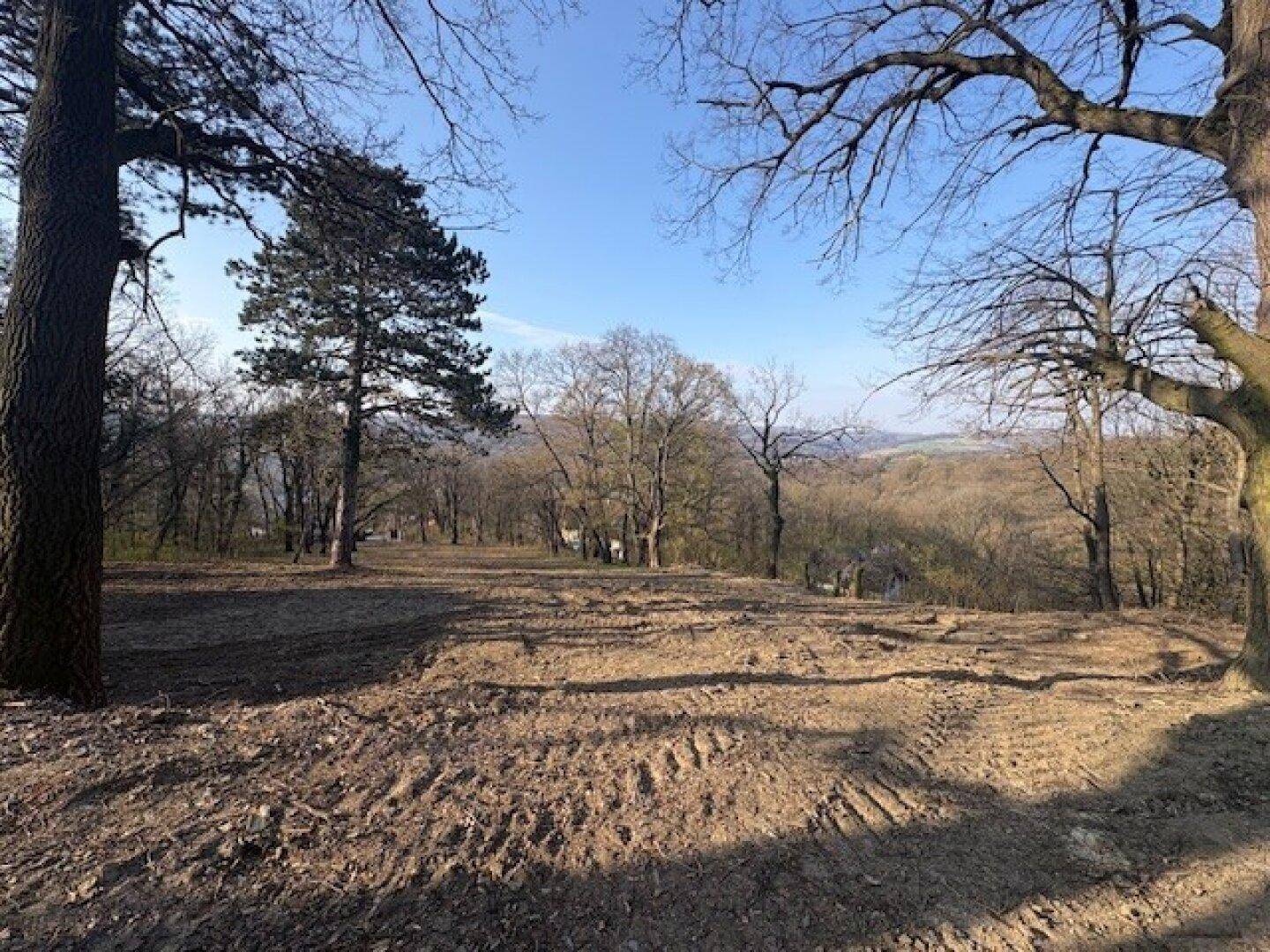 Weitläufiges Areal mit Baumbestand und vorbereitetem Untergrund für weitere Gestaltung.