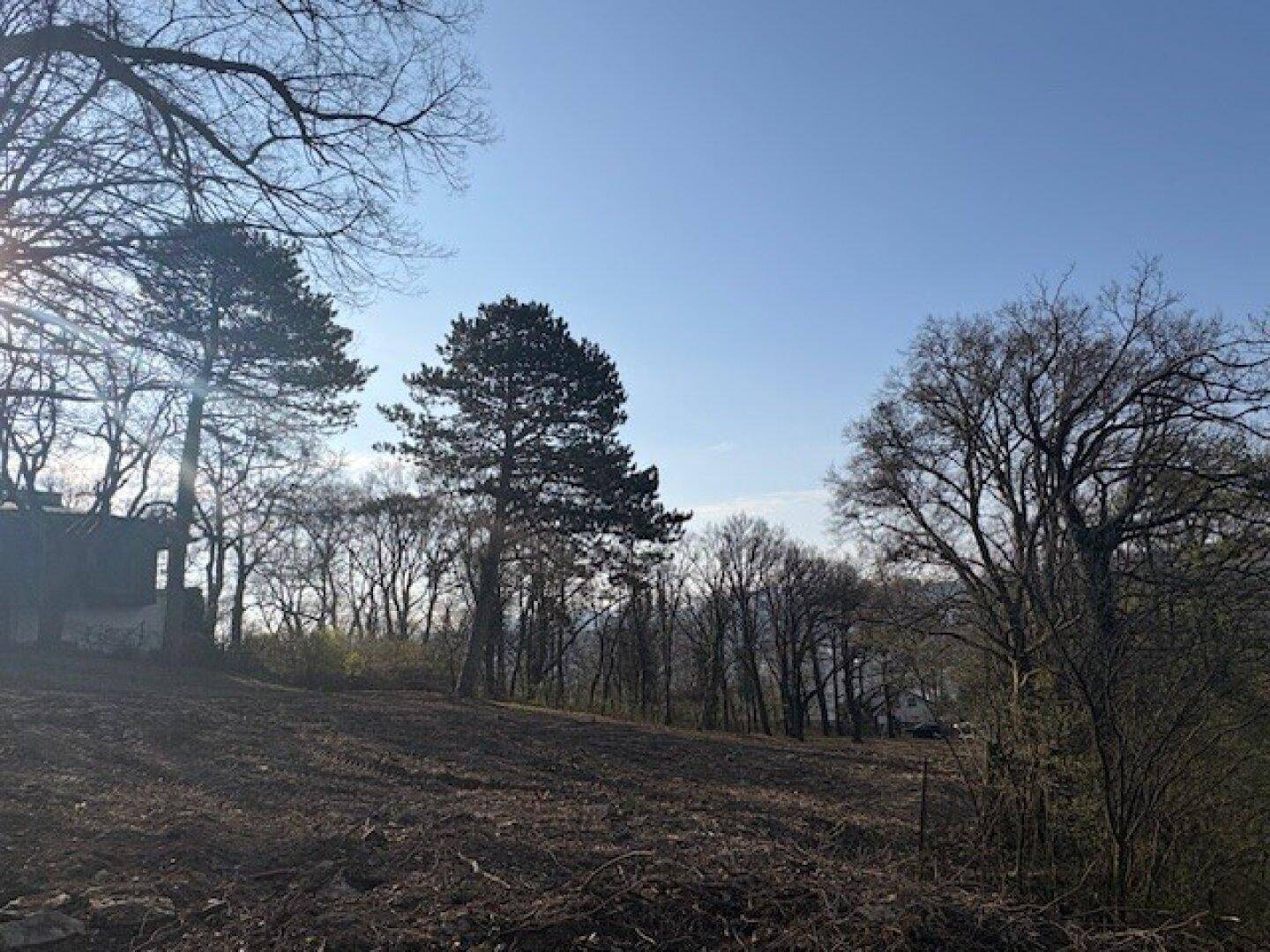 Sonniges Grundstück mit altem Baumbestand und weitem Blick in die Natur.