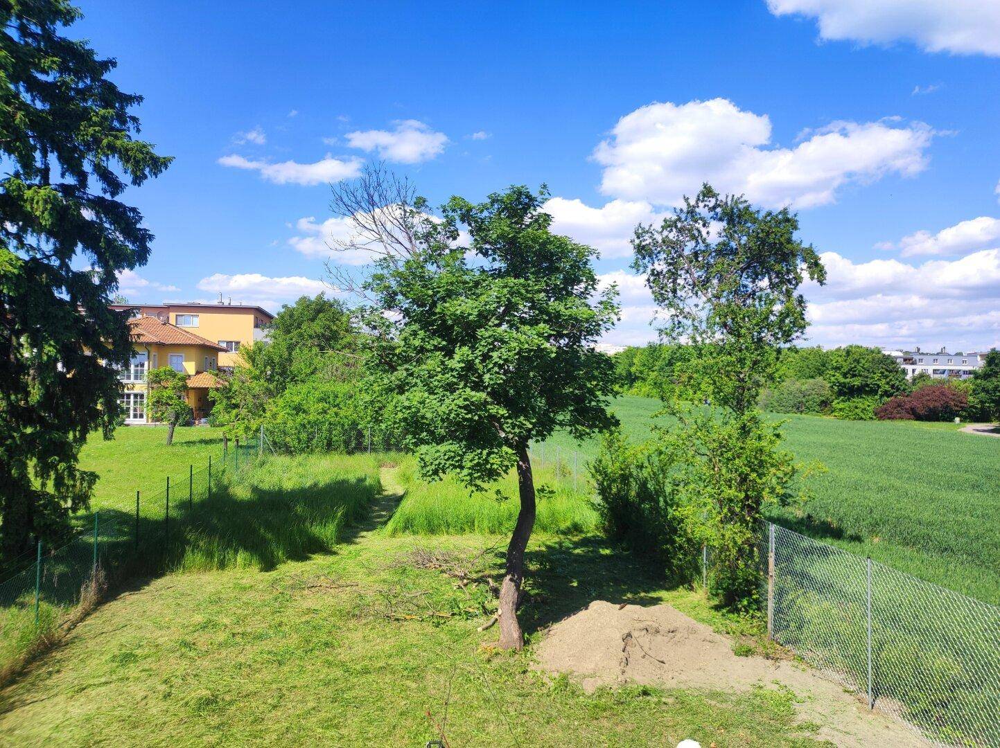 Gemeinschaftsgarten