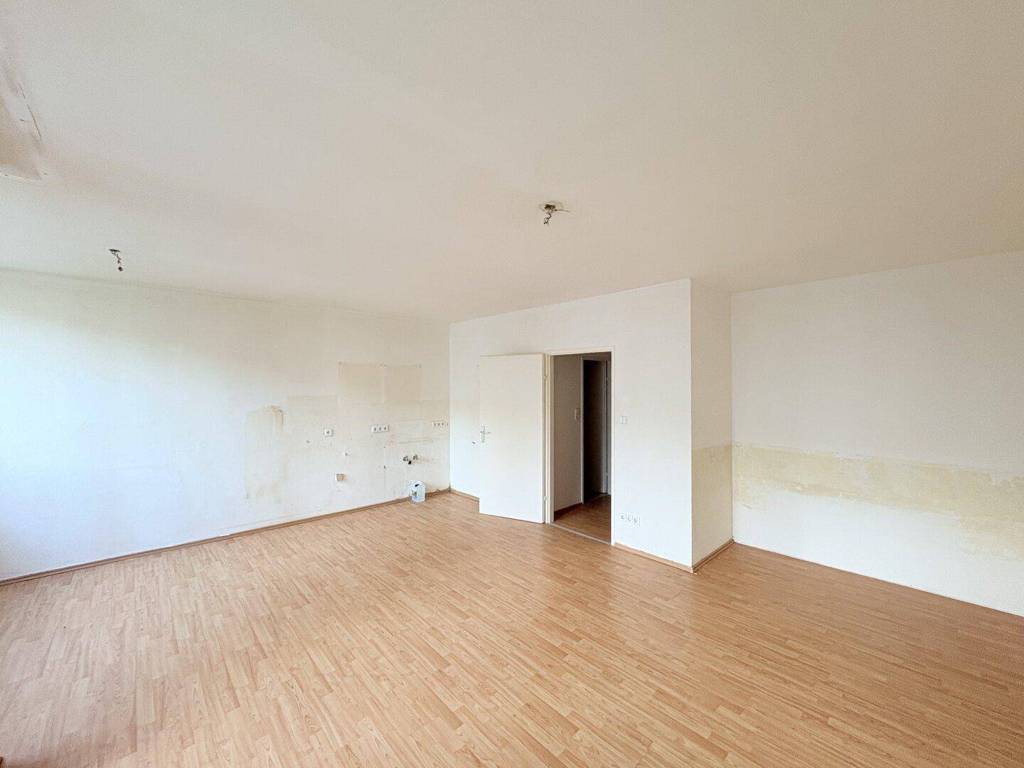 Zimmer_1