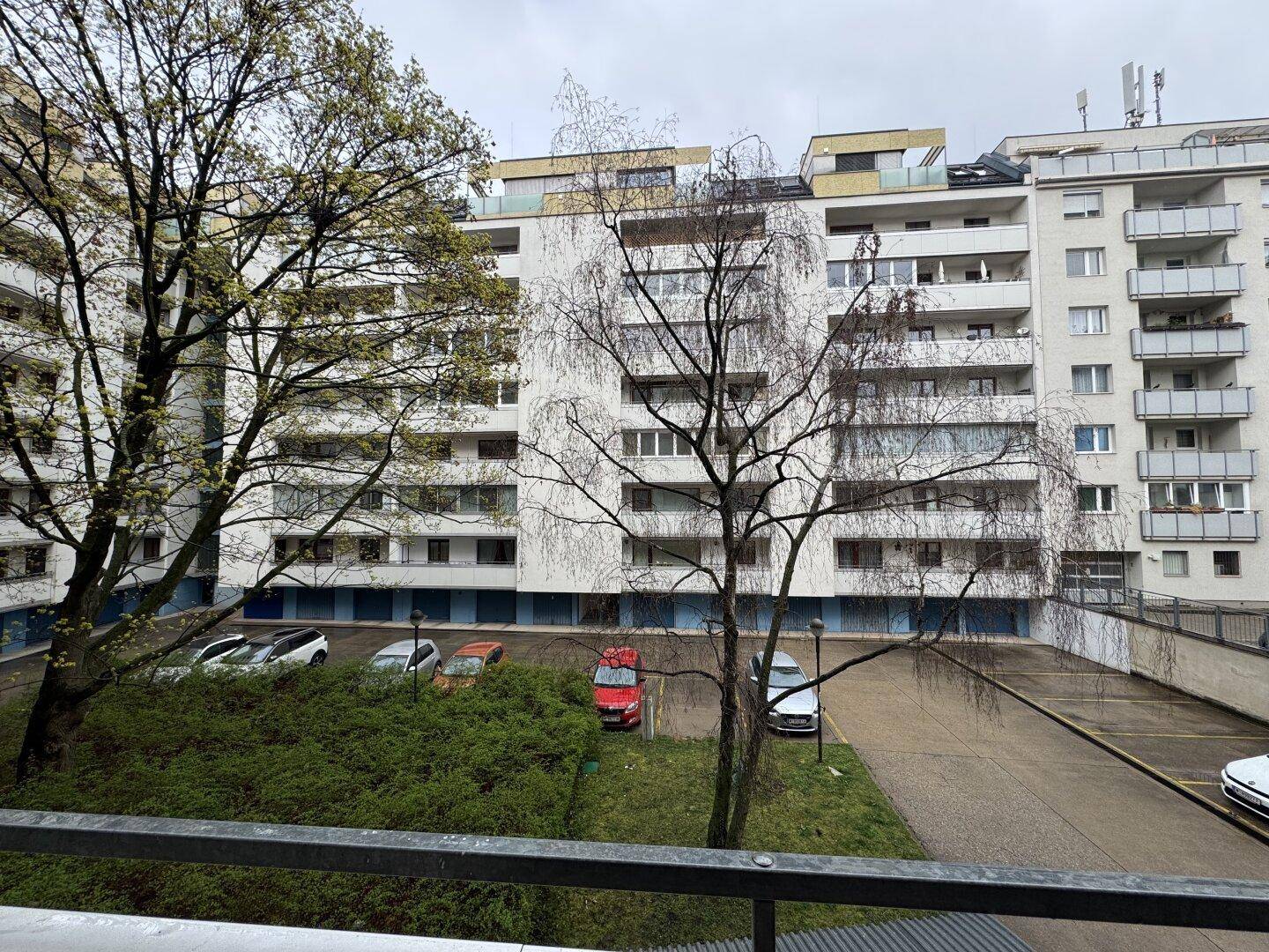 Blick auf einen Innenhof mit Bäumen, geparkten Autos und umliegenden Wohngebäuden.