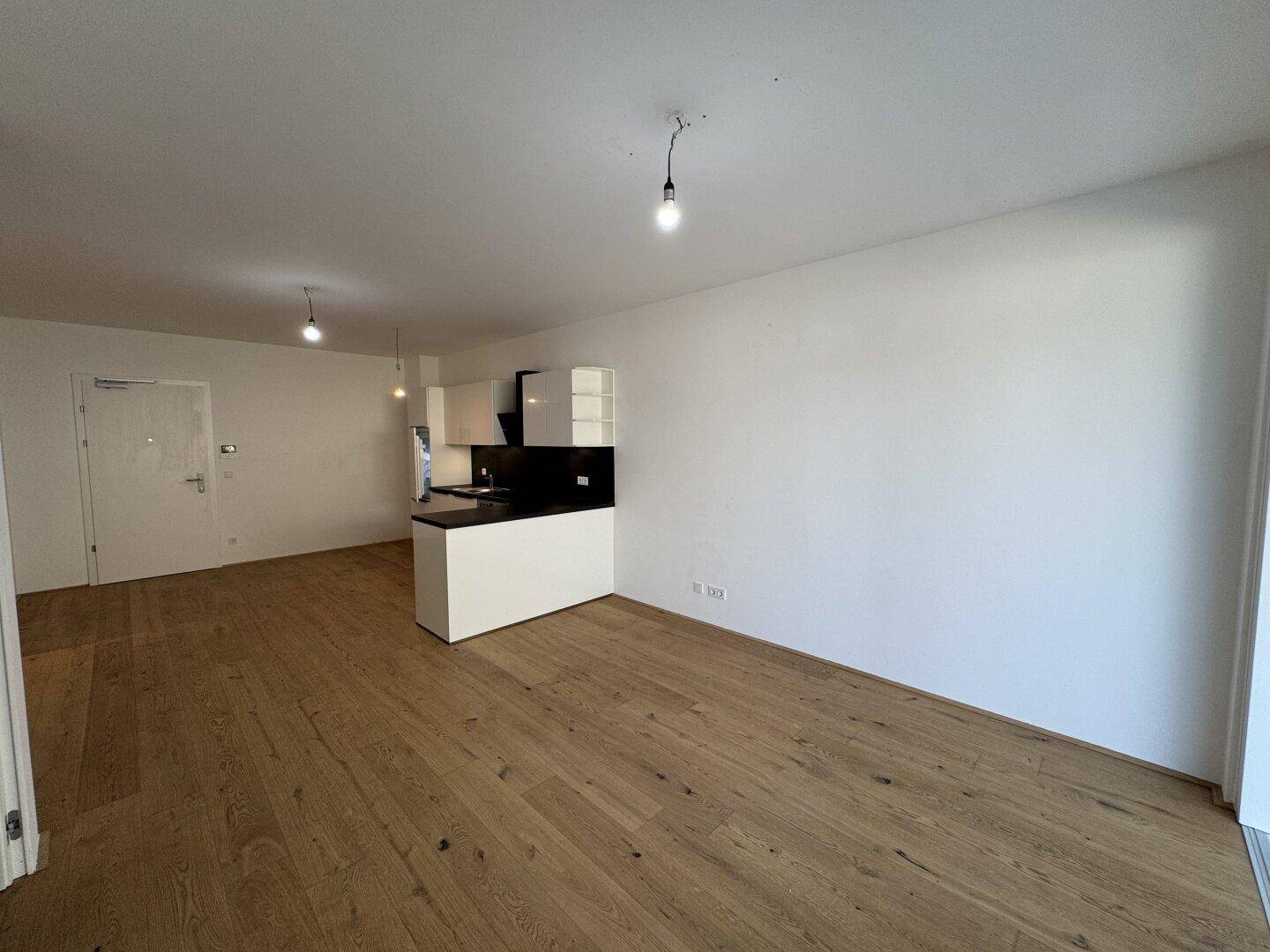 Offener Wohnbereich mit Holzboden, kleiner Küchenzeile und Eingangstür.