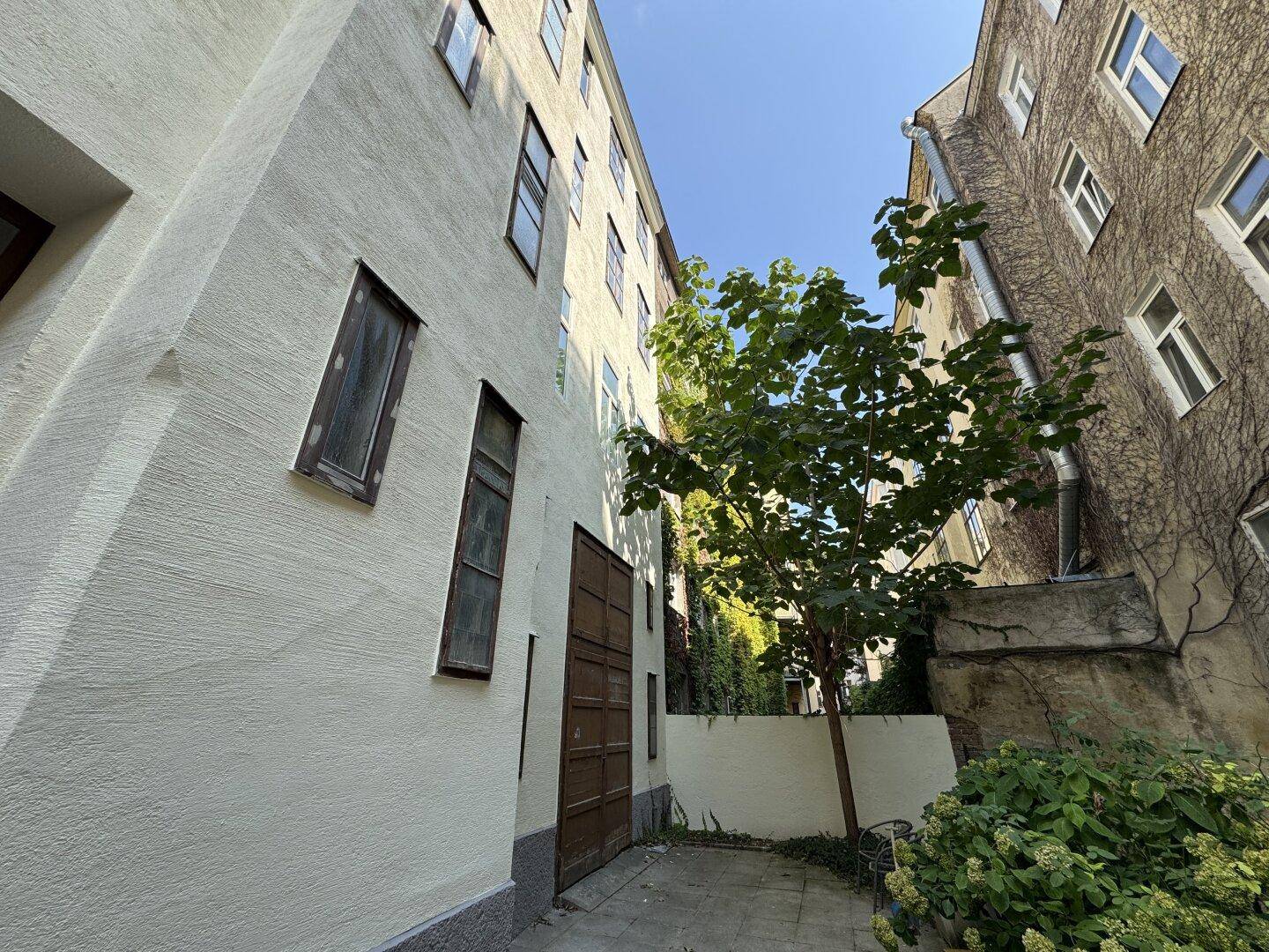 Ruhiger Innenhof mit einem Baum, Sträuchern und den Fassaden umliegender Altbaugebäude.