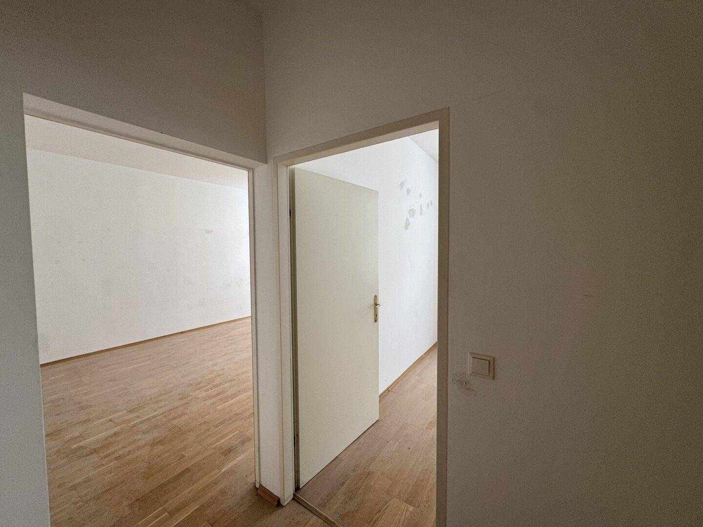 Heller Flur mit Holzboden und Zugang zu weiteren Räumen.