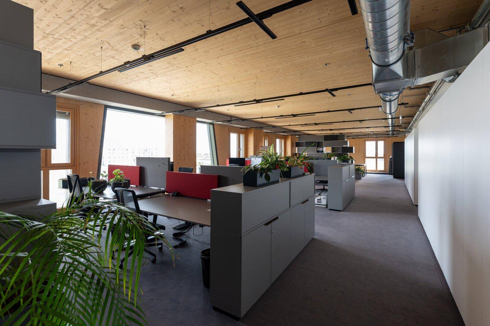 Helles und modernes Büro mit Schreibtischen, Pflanzen, grauen Möbeln und Holzdecken.