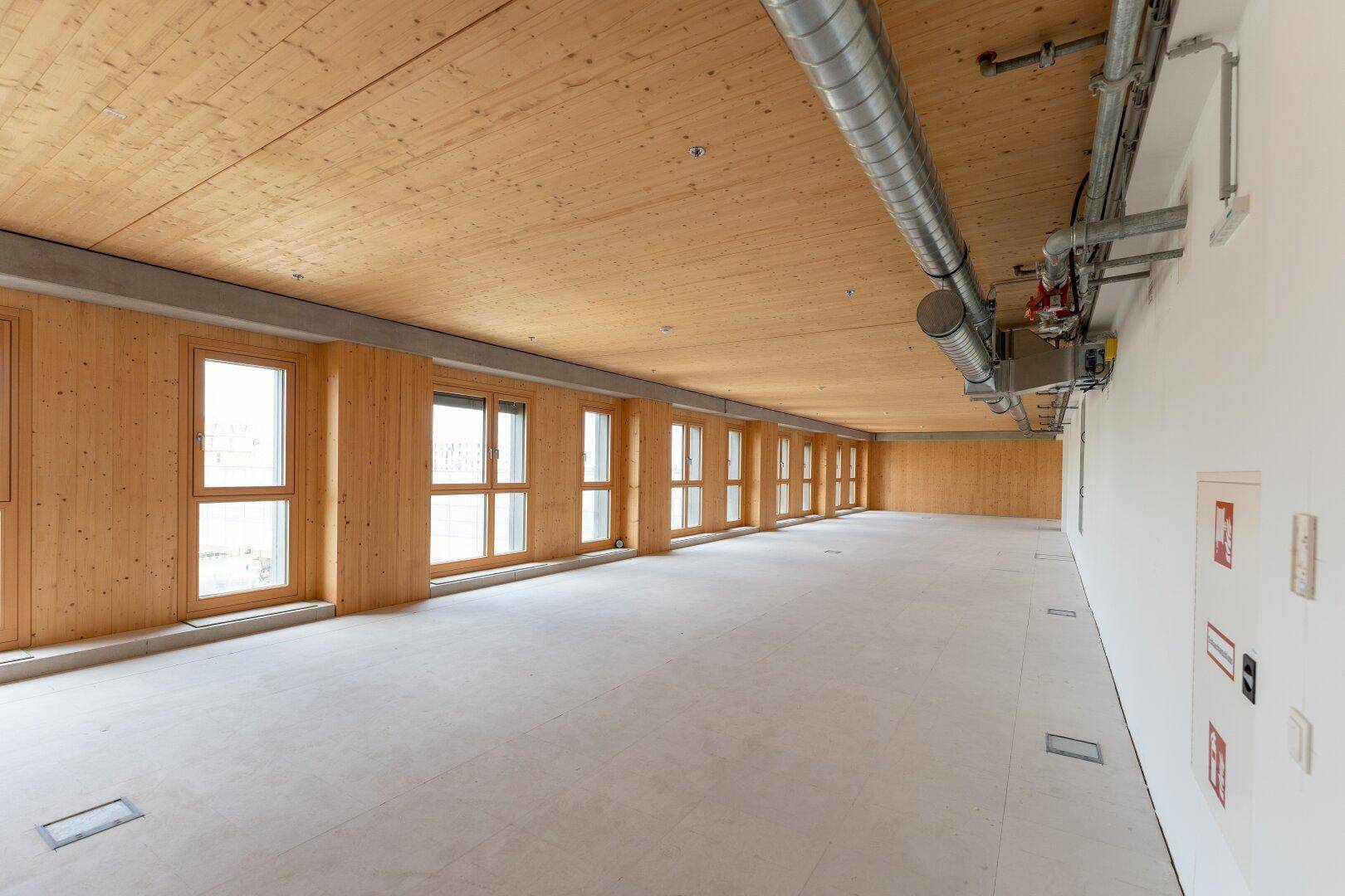 Geräumiger, leerer Gewerberaum mit Holzdecke, langer Fensterfront und sichtbaren Installationen an der Decke.