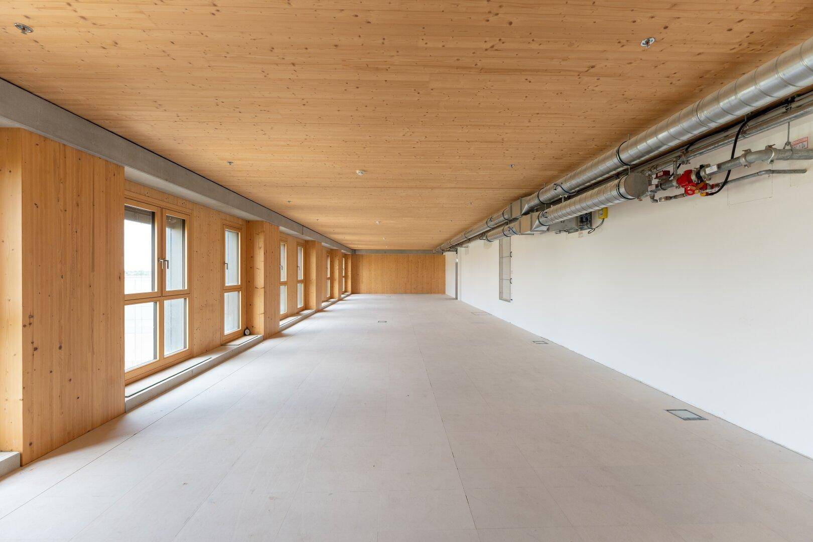 Heller, leerer Gewerberaum mit durchgehender Holzdecke, vielen Fenstern und sichtbaren Lüftungsleitungen.