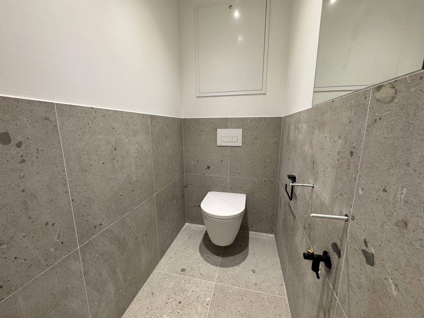 Modernes Gäste-WC mit wandhängender Toilette und grauen Fliesen.