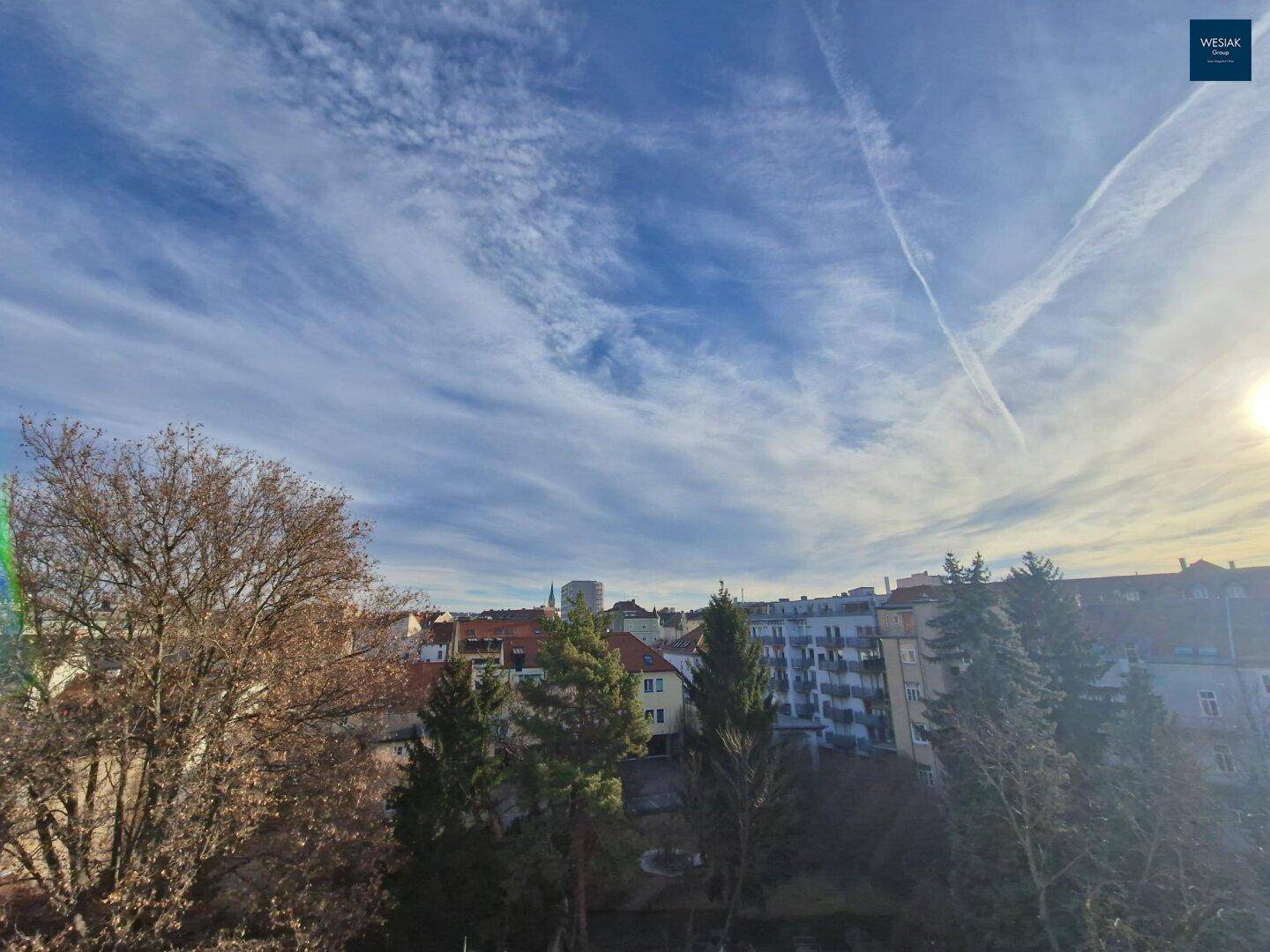Sonniger Ausblick auf Bäume und die Stadtlandschaft unter blauem Himmel.