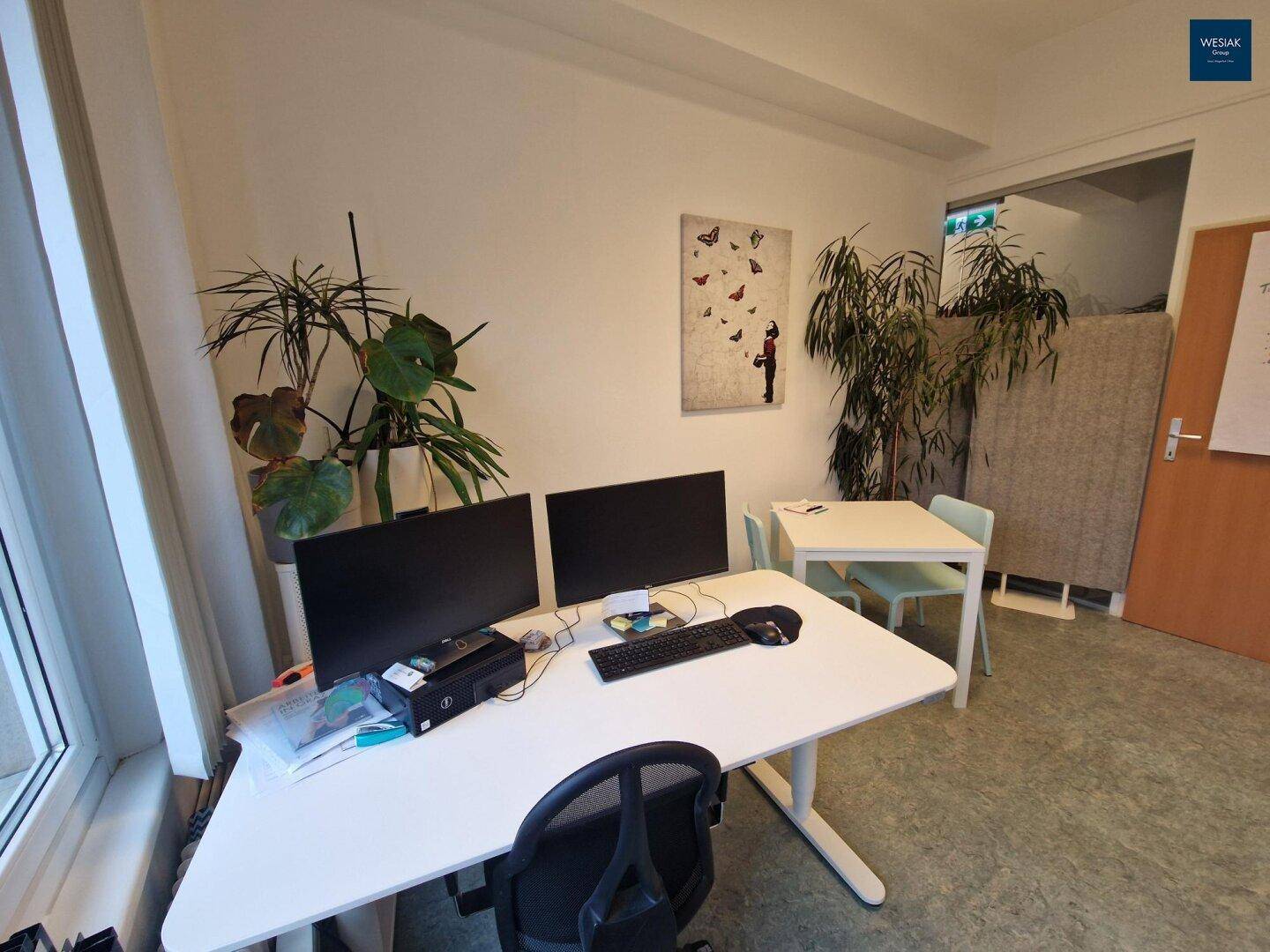 Modern eingerichtetes Büro mit zwei Monitoren, Schreibtisch und Pflanzen.