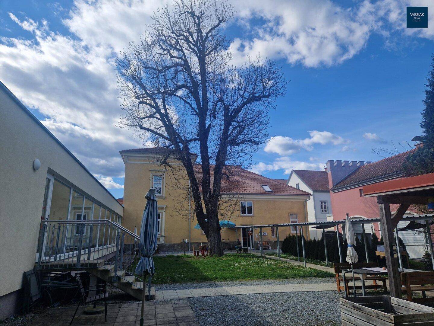 Hinterhofbereich mit großem Baum, Rasenfläche und verschiedenen Sitzgelegenheiten im Freien.