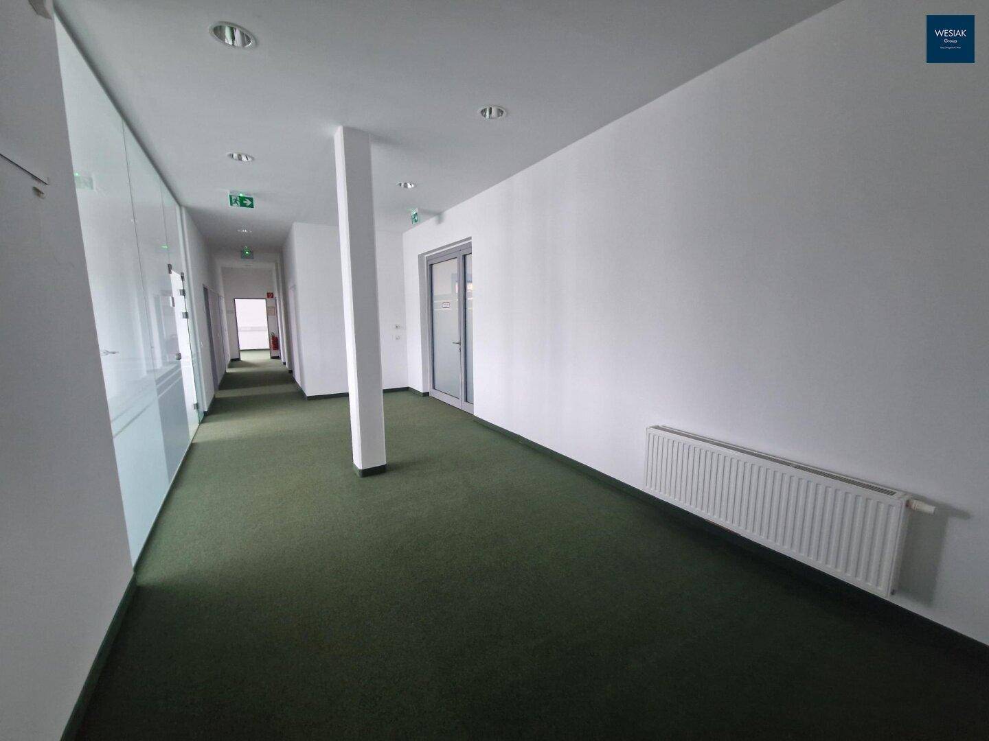 Geräumiger Flur mit Teppichboden, weißen Wänden und Heizkörper, der zu weiteren Räumen führt.