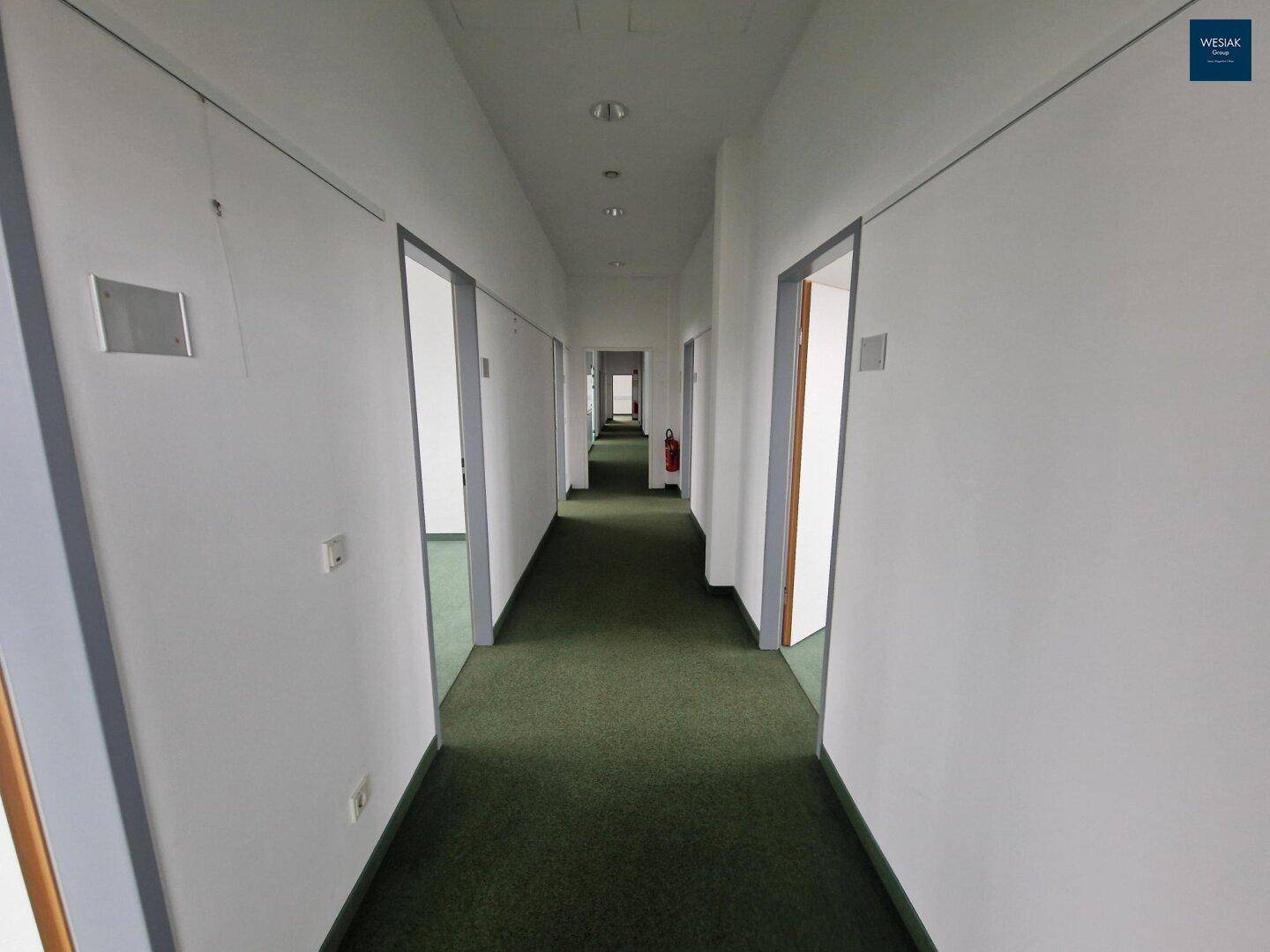 Langer, leerer Flur mit Teppichboden, weißen Wänden und mehreren Türen zu Büroräumen.