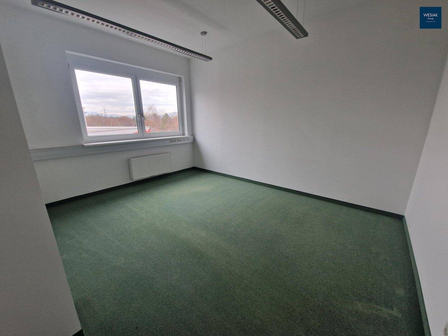 Leeres Büro mit Teppichboden, einem großen Fenster und weiß gestrichenen Wänden.